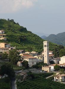 Cerimonia di Accensione dell'albero di Natale