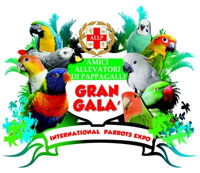 4° Gran Gala di Pappagalli