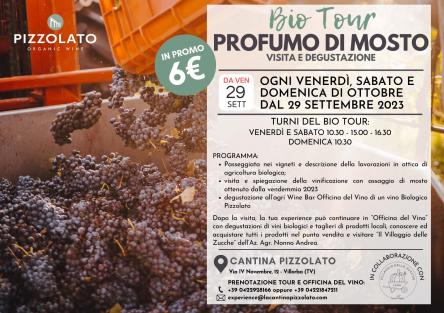 BIO TOUR “PROFUMO DI MOSTO”: CANTINA APERTA PER TUTTI I WEEKEND DI OTTOBRE